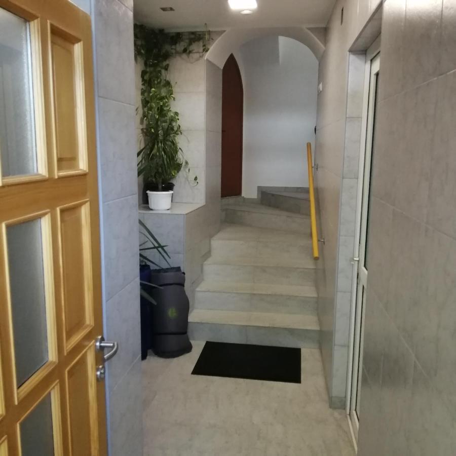 Apartmani Marijan ツリクヴェニツァ エクステリア 写真