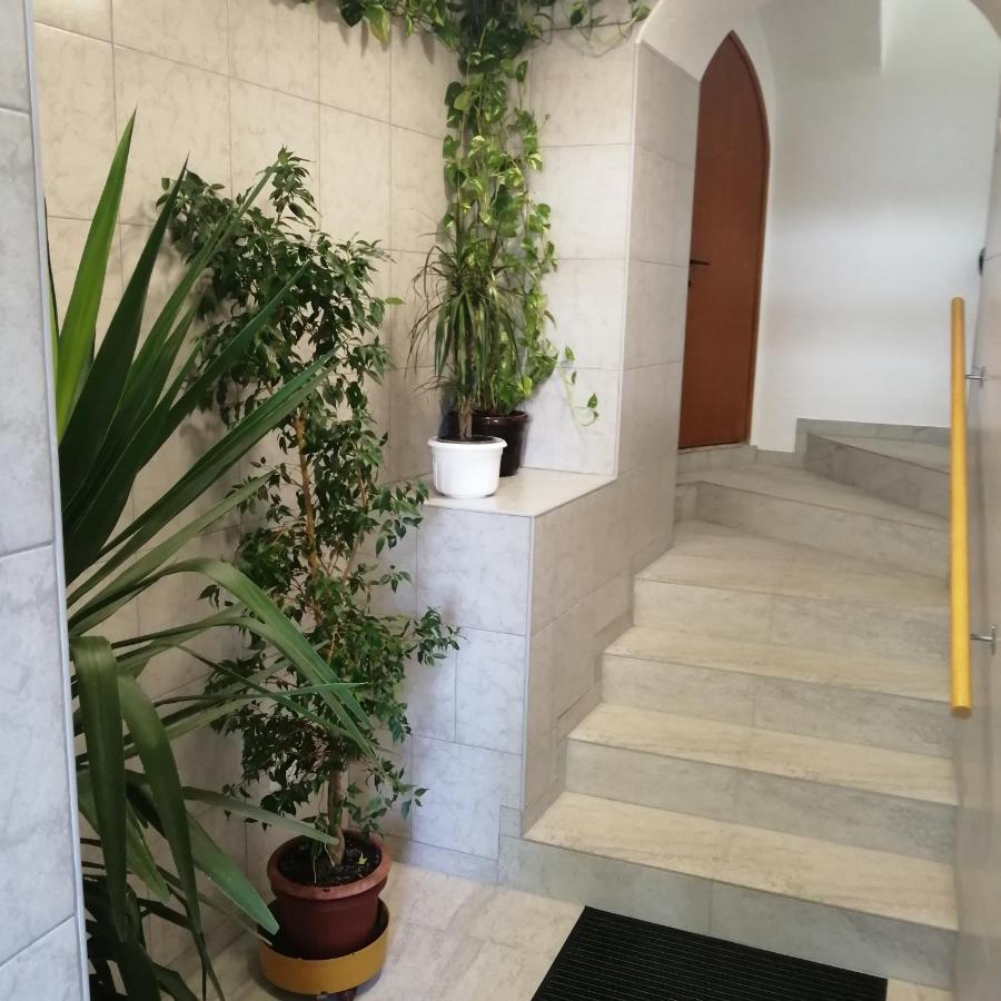 Apartmani Marijan ツリクヴェニツァ エクステリア 写真